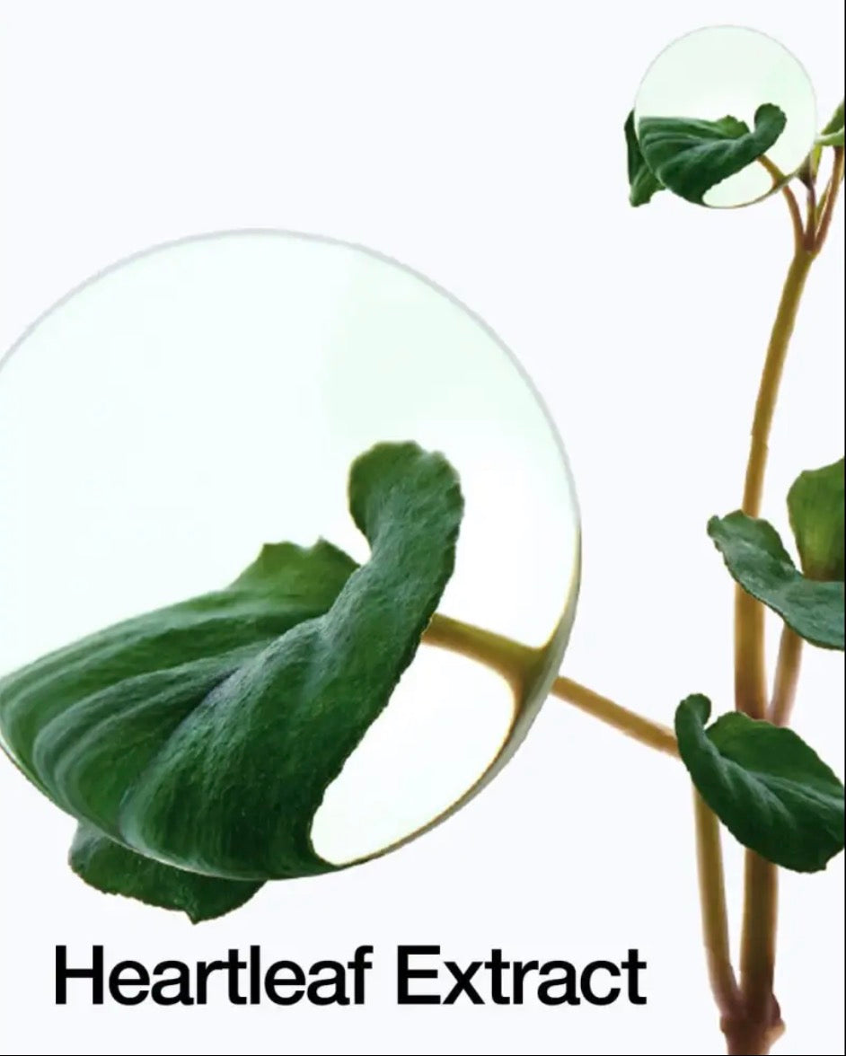 Ampoule Apaisante Hydratante 80% Heartleaf