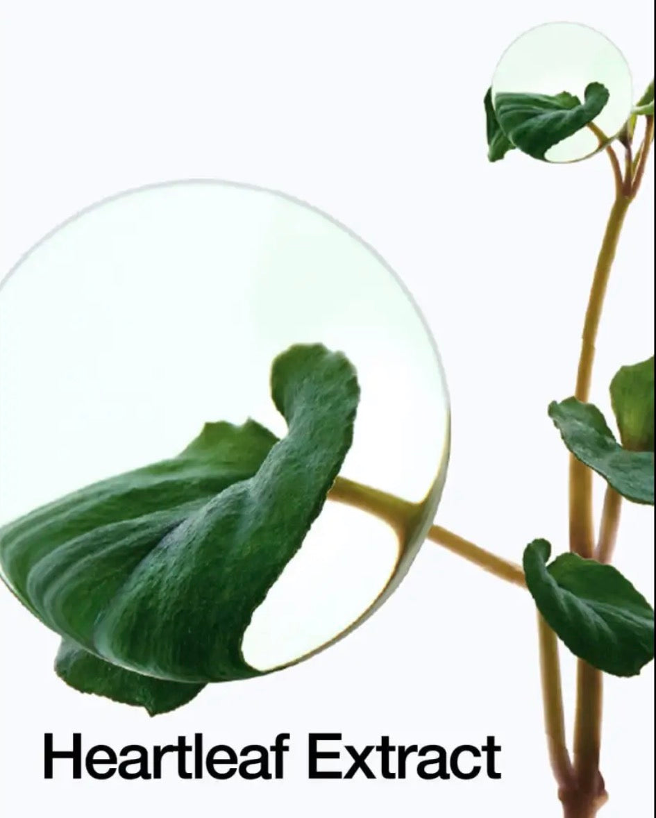 Gel Peeling Hydratant Heartleaf LHA