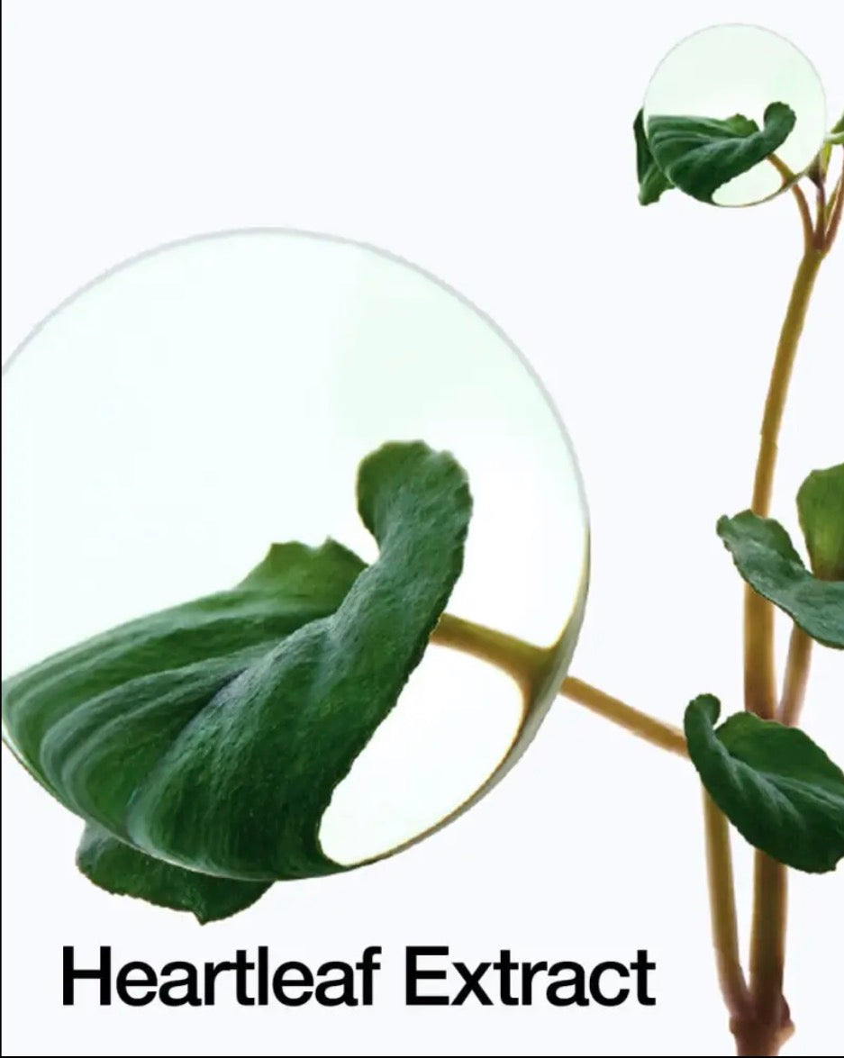 Eau Nettoyante Profonde Low pH Heartleaf